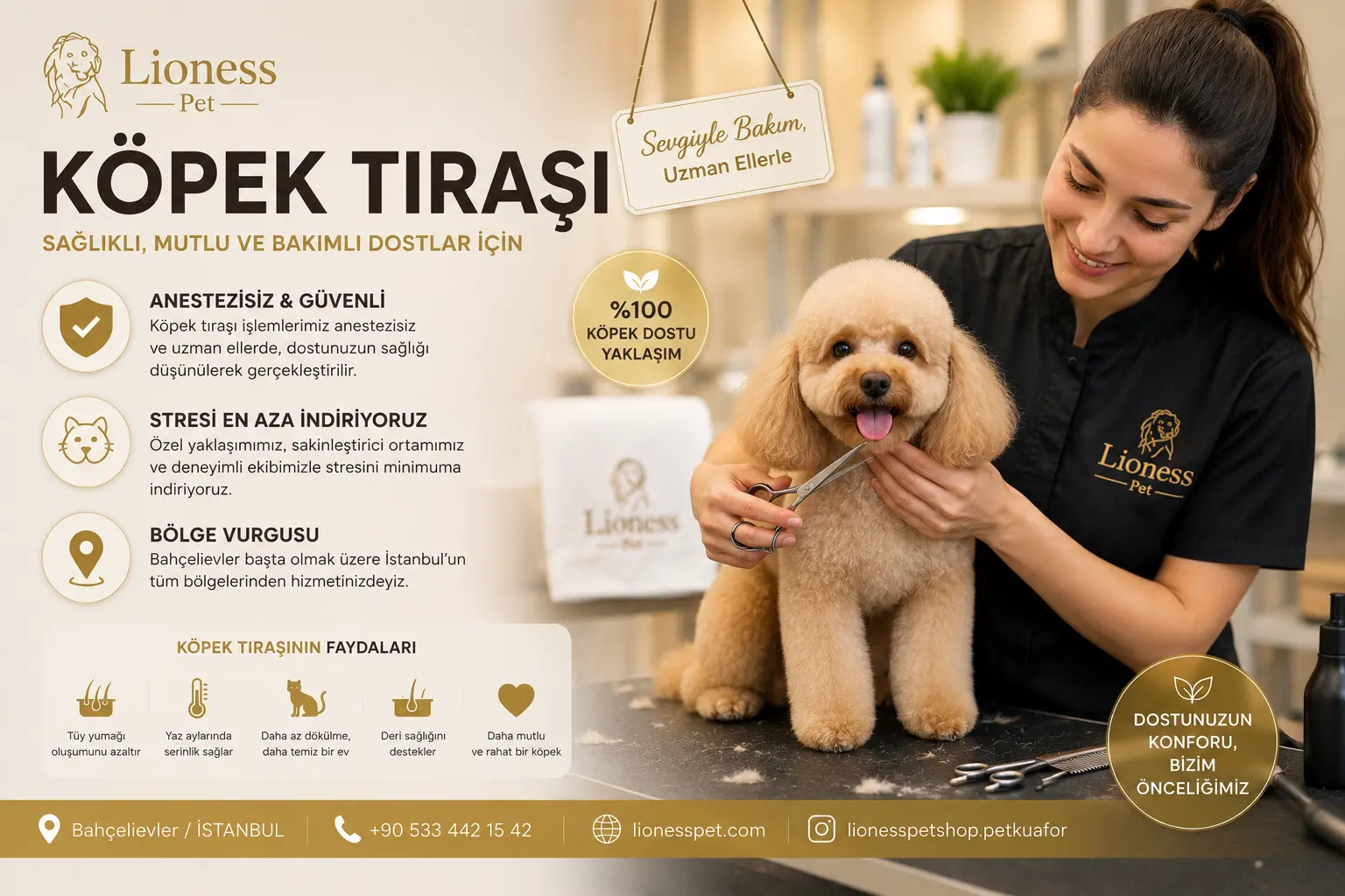 Profesyonel Köpek Tıraşı ve Bakımı